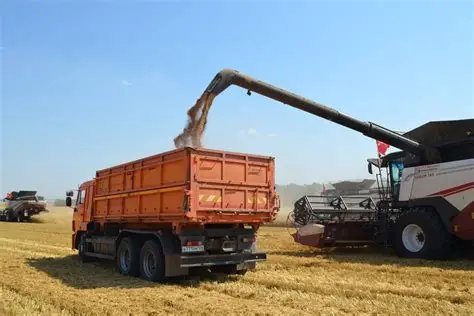 Фото: Российская газета