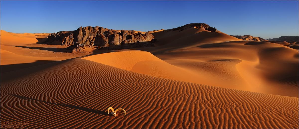 Пустыня Сахара. Фото: соцсети