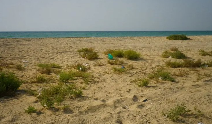 Пляж в Умм-эль-Кайвайн, фото: al-Arabiya